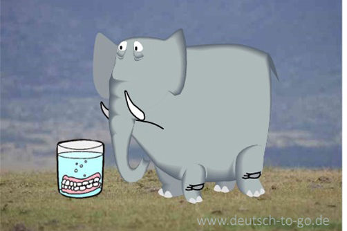 Hoertext_Der_Elefant_und_sein_Gebiss_Deutsch_to_go_IP_IPTC