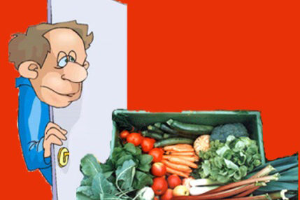 Hoertext_Die_gruene_Kiste_Deutsch_to_go_IP_IPTC