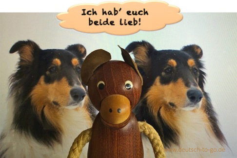Hoertext_Eifersuechtige_Hunde_Deutsch_to_go_CS_IPTC