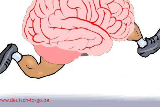 Hoertext_Gehirnjogging_Deutsch_to_go_IP_IPTC