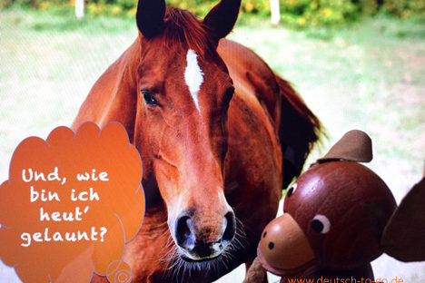 Hoertext_Kluge_Pferde_Deutsch_to_go_CS_IPTC