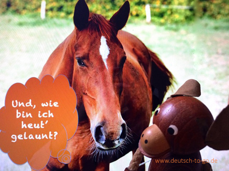 Hoertext_Kluge_Pferde_Deutsch_to_go_CS_IPTC