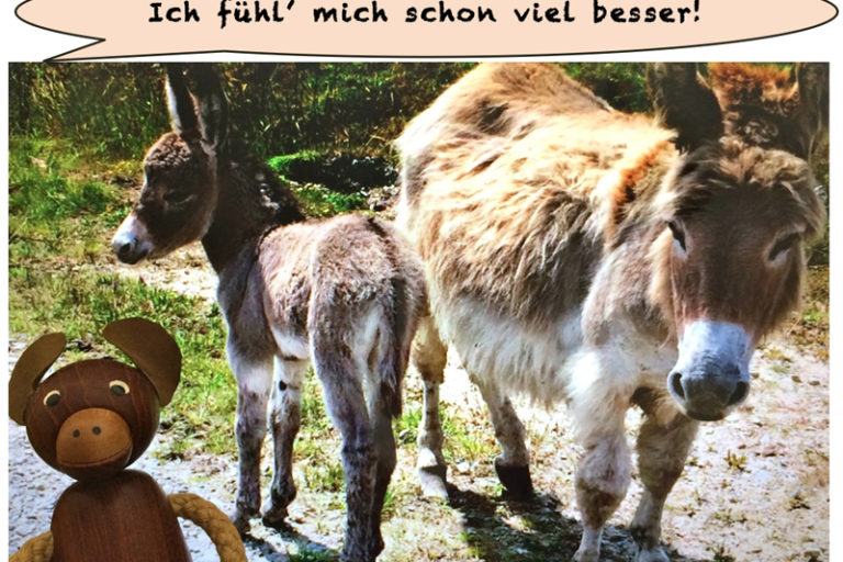 HV_Bild_Mini_Pferde_im_Krankenhaus_CS_IPTC