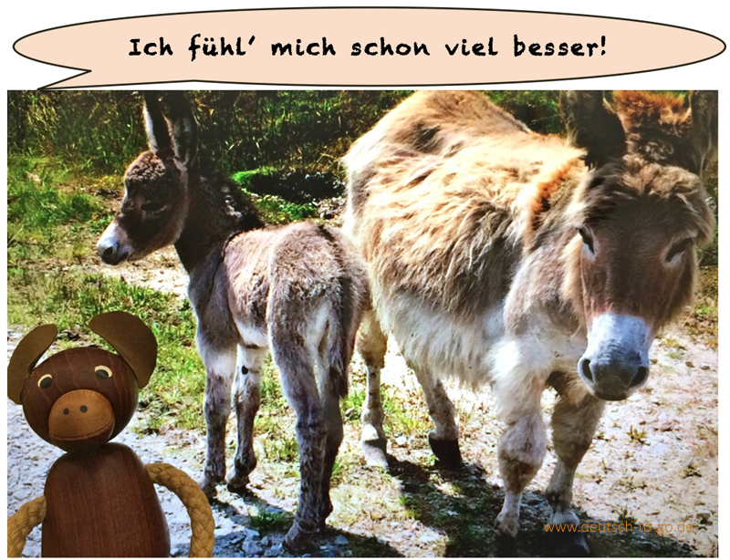HV_Bild_Mini_Pferde_im_Krankenhaus_CS_IPTC