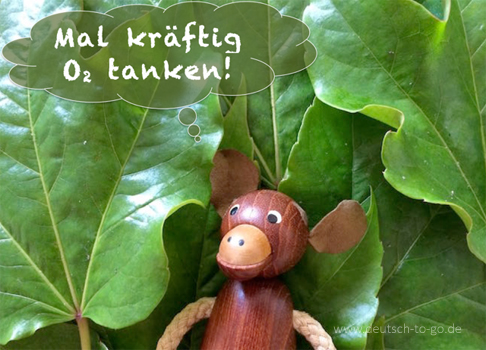 Hoertext_Sauerstoff_durch_Photosynthese_Deutsch_to_go_CS_IPTC