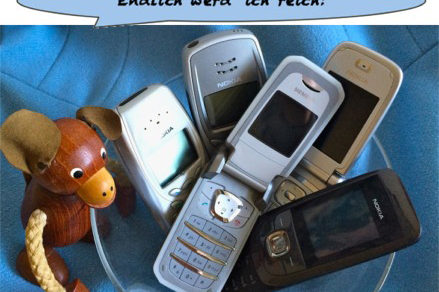 Hoertext_Von_Pilzen_und_Handys_Deutsch_to_go_CS_IPTC