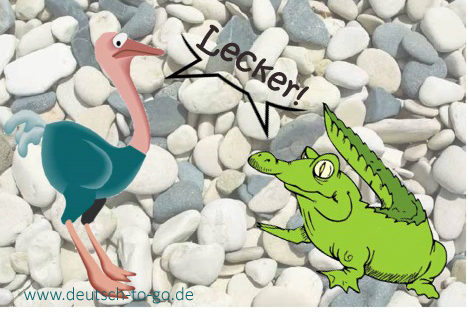 Hoertext_Zum_Mittagessen_ein_paar_Steine_Deutsch_to_go_IP_IPTC