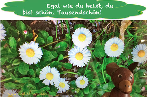 Hoertext_Gaensebluemchen_Deutsch_to_go_CS_IPTC