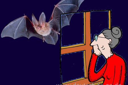 Hoertext_Fledernaeuse_sind_ueber_uns_Deutsch_to_go_IP_IPTC