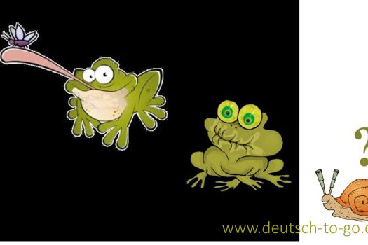 Hoertext_Froesche_und_ihre_Glupschaugen_Deutsch_to_go_IP_IPTC