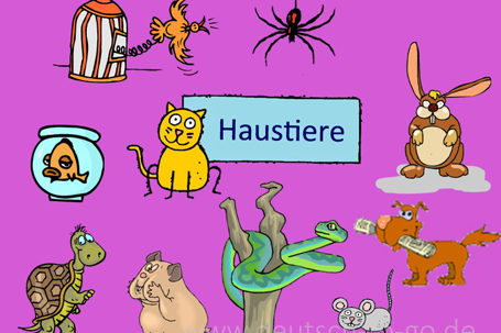 Hoertext_Hund_Katze_Maus_Deutsch_to_go_IP_IPTC