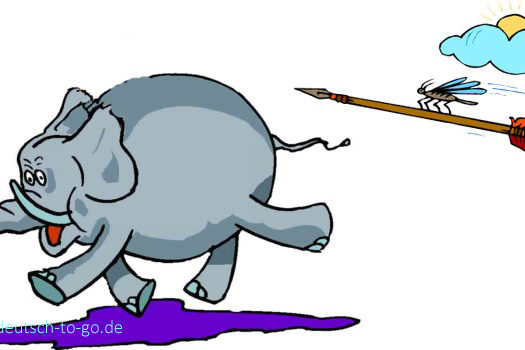 Hoertext_Muecken_koennen_Elefanten_aergern_Deutsch_to_go_IP_IPTC