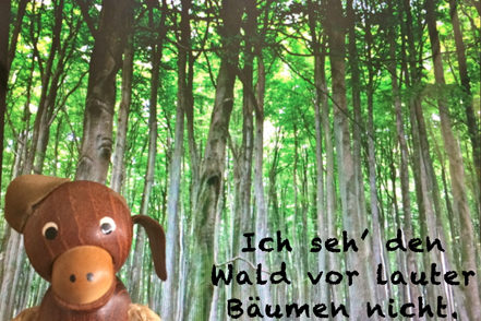 Hoertext_Waldeslust_oder_Mensch_und_Baum_Deutsch_to_go_CS_IPTC