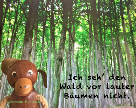 Hoertext_Waldeslust_oder_Mensch_und_Baum_Deutsch_to_go_CS_IPTC