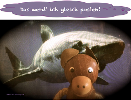 Hoertext_Was_ist_gefaehrlicher_Selfie_oder_Hai_Deutsch_to_go_CS_