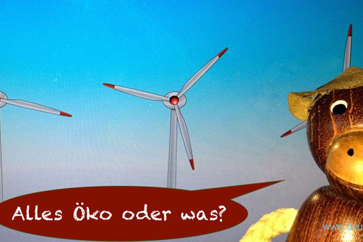 Hoertext_Energie_aus_der_Nordsee_Deutsch_to_go_CS_IPTC