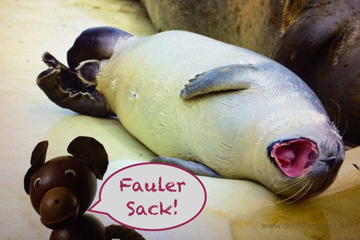 Hoertext_Warum_gaehnen_wir_Deutsch_to_go_CS_IPTC