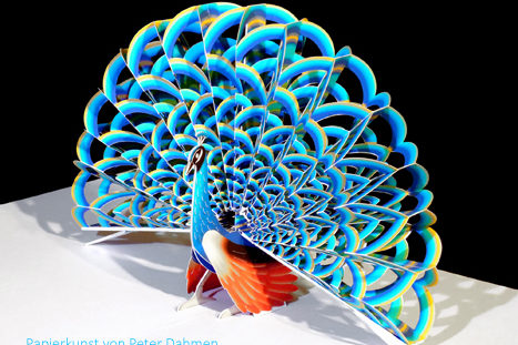 HV_Bild_Magisches_Papier_Deutsch_to_go_Pop-Up-Pfau-vor-schwarz-RGB-200px_WZ