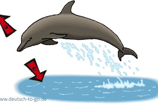 HV_Bild_Rechts_oder_links_Deutsch_to_go_IP_IPTC_WZ