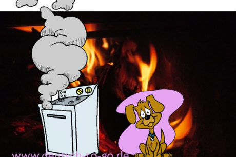 HV_Bild_Ein_Hund_und_ein_Herd_Deutsch_to_go_IP_IPTC_WZ