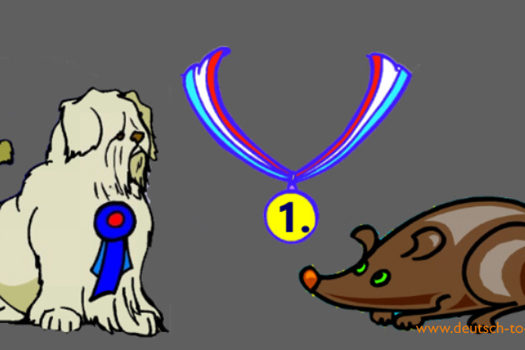 HV_Bild_Wie_eine_Ratte_Leben_rettet_Deutsch_to_go_IP_IPTC_WZ