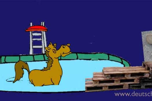 HV_Bild_Hilfe_da_steht_ein_Pferd_im_Swimmimgpool_Deutsch_to_go_IP_2_WZ