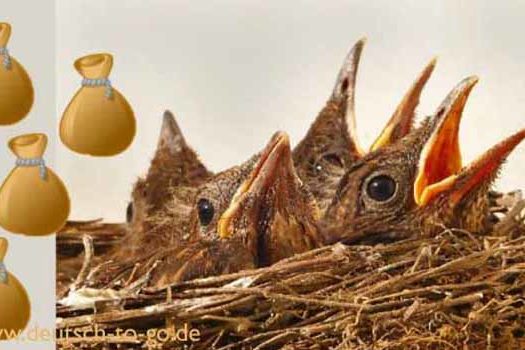 HV_Bild_Wie_Voegel_den_Muell_rausbringen_Deutsch_to_go_IP_IPTC_WZ