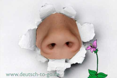 HV_Bild_Riech_mal_Deutsch_to_go_IP_IPTC_WZ