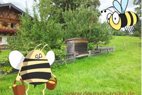 HV_Bild_Sind_Honigbienen_fleissig_Deutsch_to_go_IP_IPTC_WZ