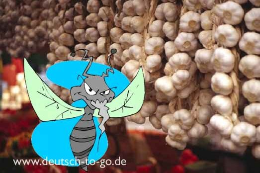 HV_Bild_Stechmuecken_Mythos_oder_Wahrheit_Deutsch_to_go_IP_IPTC_WZ