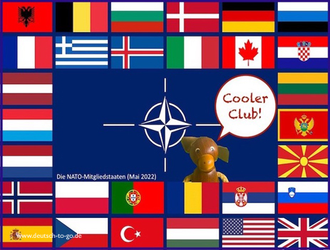 Flaggen der NATO-Staaten und in der Mitte ein Äffchen, das sagt: "Cooler Club".