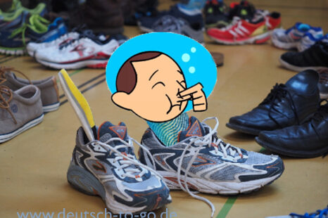 HV_Bild_Im_Reich_der_schwitzenden_Fuesse_Deutsch_to_go_IP_IPTC_WZ