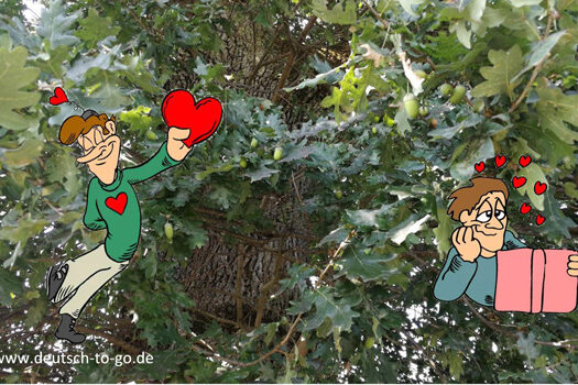 HV_Bild_Der_Liebesbaum_Deutsch_to_go_IP_IPTC_WZ